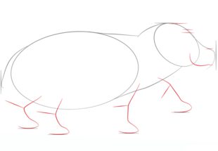 Jak narysować hipopotama 3