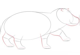 Jak narysować hipopotama 4