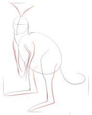 Jak narysować kangura 4
