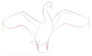 Jak narysować łabędzia 5