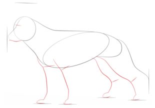 Jak narysować psa - Owczarek 3