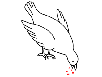 jak narysować gołębia 19