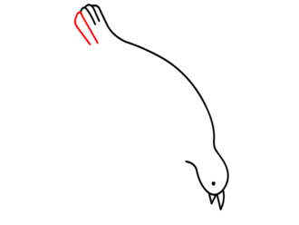 jak narysować gołębia 8