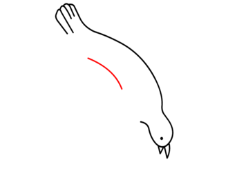jak narysować gołębia 9