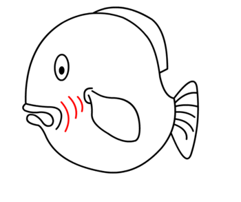 jak narysować grubą rybkę 16