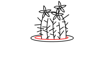 jak narysować kaktusa 11