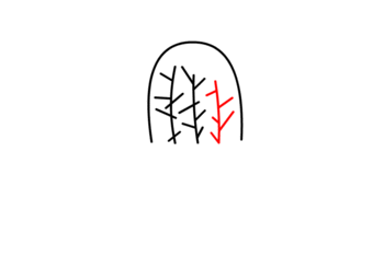 jak narysować kaktusa 5