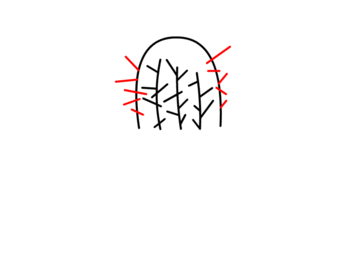 jak narysować kaktusa 6