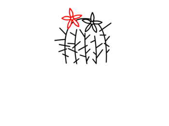 jak narysować kaktusa 8