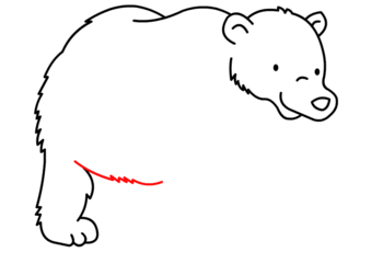 jak narysować misia polarnego 10