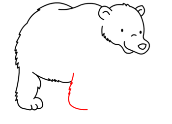 jak narysować misia polarnego 11