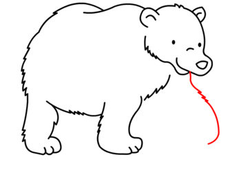 jak narysować misia polarnego 14