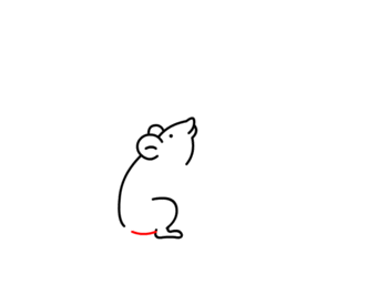 jak narysować myszkę 9