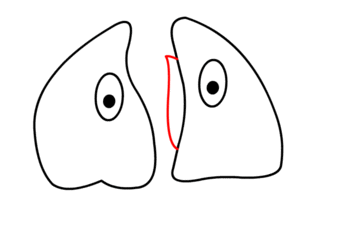 jak narysować płuca 9