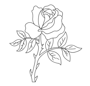 jak narysować różę 10