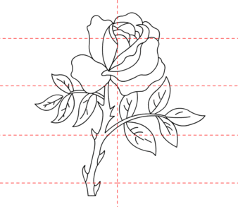 jak narysować różę 9