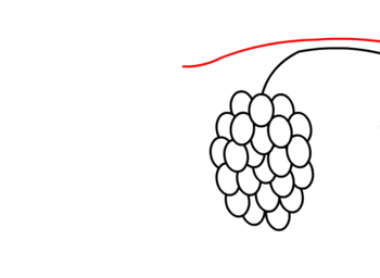jak narysować winogrona 10