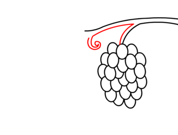 jak narysować winogrona 11