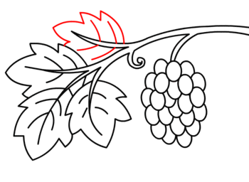 jak narysować winogrona 16