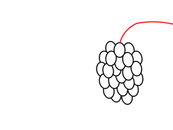 jak narysować winogrona 9