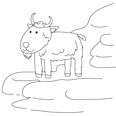 jak narysować kozę 13