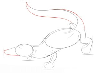 Jak narysować aligatora 5