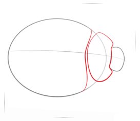 Jak narysować biedronkę 2