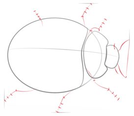 Jak narysować biedronkę 3