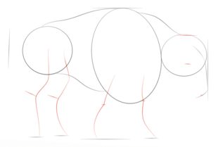 Jak narysować bizona 3