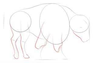 Jak narysować bizona 4