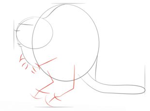 Jak narysować bobra 4