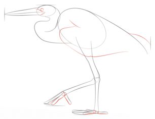 Jak narysować czaplę 5
