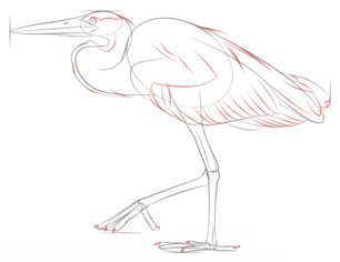 Jak narysować czaplę 7