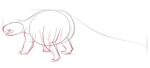 Jak narysować dinozaura - Ankylozaur 4