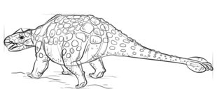 Jak narysować dinozaura - Ankylozaur 7