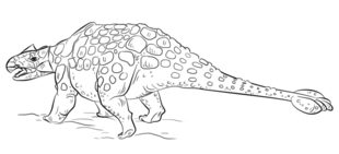 Jak narysować dinozaura - Ankylozaur 8