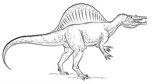 Jak narysować dinozaura - Spinozaur 9