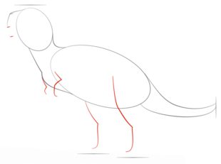 Jak narysować dinozaura - Tyranozaur 3