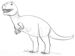 Jak narysować dinozaura - Tyranozaur 8