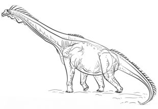 Jak narysować dinozaura - brachiozaur 7