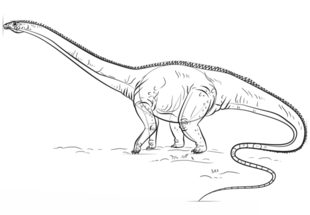 Jak narysować dinozaura - diplodok 7