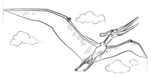 Jak narysować dinozaura - Pteranodon 7