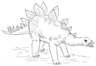 Jak narysować dinozaura - Stegozaur 9