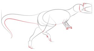 Jak narysować dinozaura 5