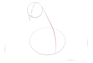 Jak narysować fokę 2