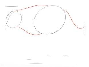 Jak narysować hienę 2