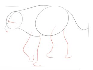 Jak narysować hienę 3
