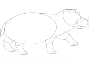 Jak narysować hipopotama 5