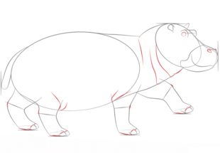 Jak narysować hipopotama 6