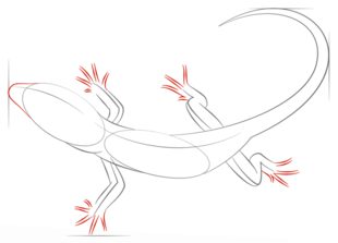 Jak narysować jaszczurkę 5
